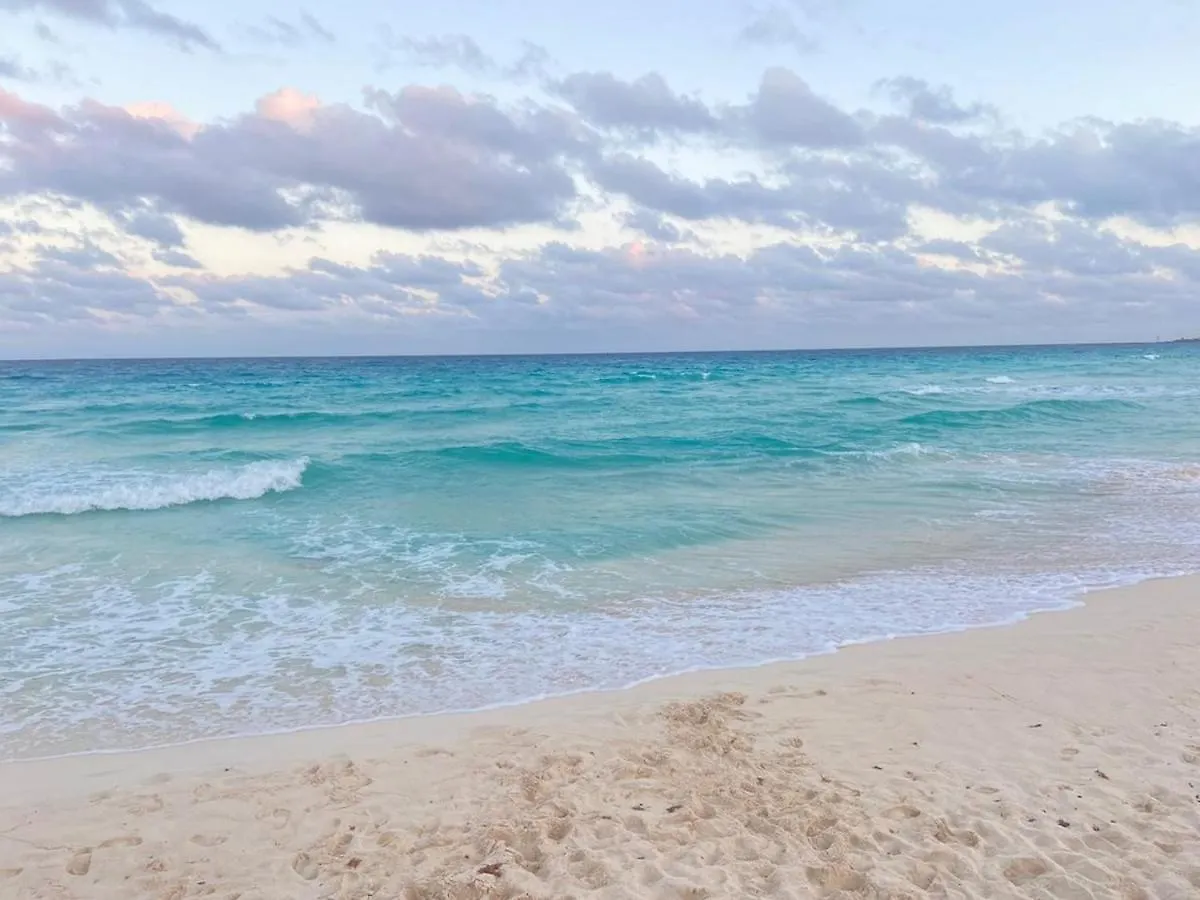 Beach Front And Lagoon View Condo In Cancun Apartment